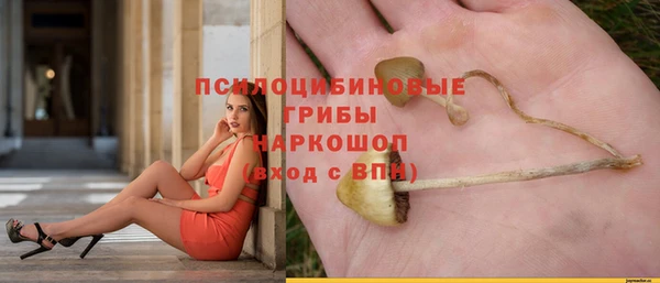 Альфа ПВП Абдулино