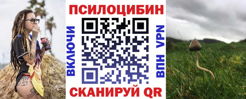 хочу   Златоуст  Галлюциногенные грибы Cubensis 