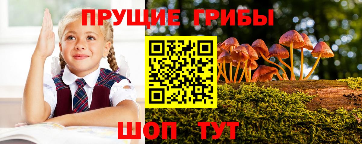 Галлюциногенные грибы Magic Shrooms  что такое наркотик  Златоуст  Вход с VPN 